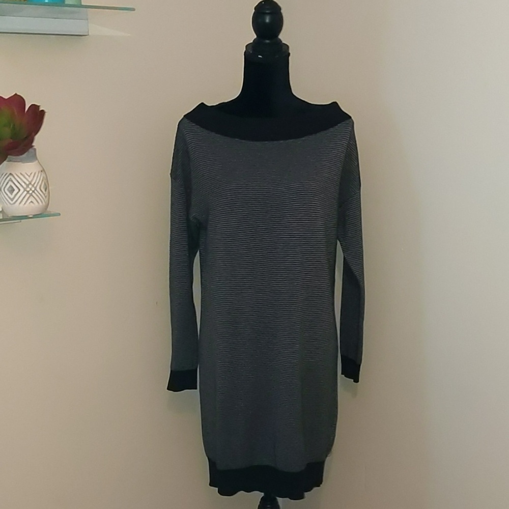 Express Sweater dress